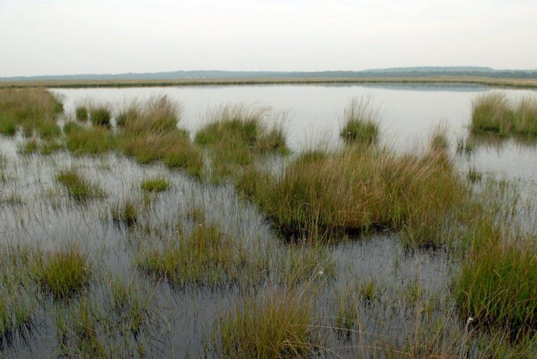 Pre-Historical Amsterdam